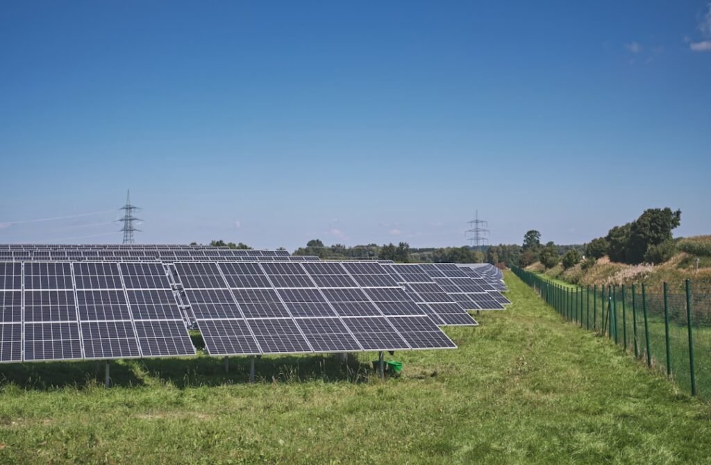 Earth and Sustainable Development