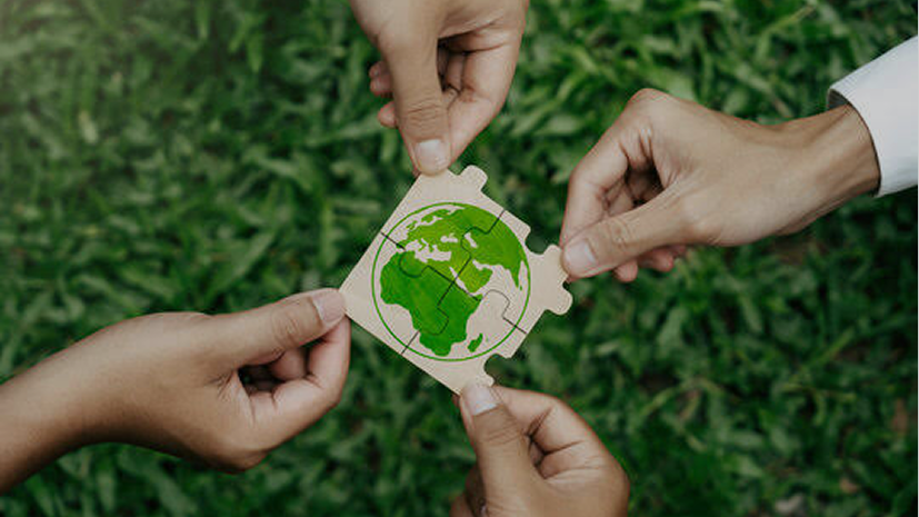 Sustainable Development